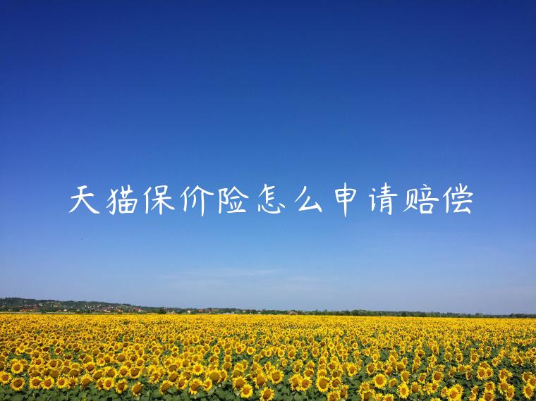 天貓保價(jià)險(xiǎn)怎么申請(qǐng)賠償